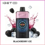 IGET One Blackberry Ice 10,000+ Puffs | Shop IGET One Vape Aus