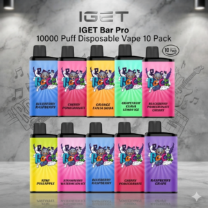 IGET Bar Pro 10000 Puffs 10PCS Disposable Vape | 24 Flavours Available
