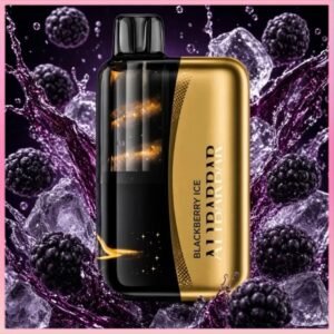 Alibarbar Swirl 13000 Puffs Blackberry ice