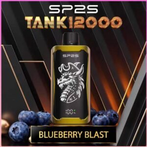 SP2S TANK 12000 Puffs Blueberry blast Disposable Vape